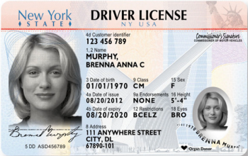 driver-license